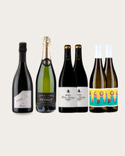A Celebration Selection of 6 Wines