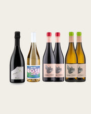 A Christmas Selection of 6 Wines